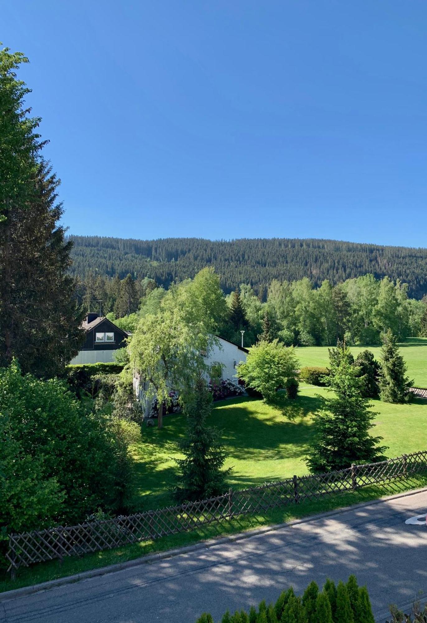 Ferienwohnung Homburger - Titisee Eksteriør bilde